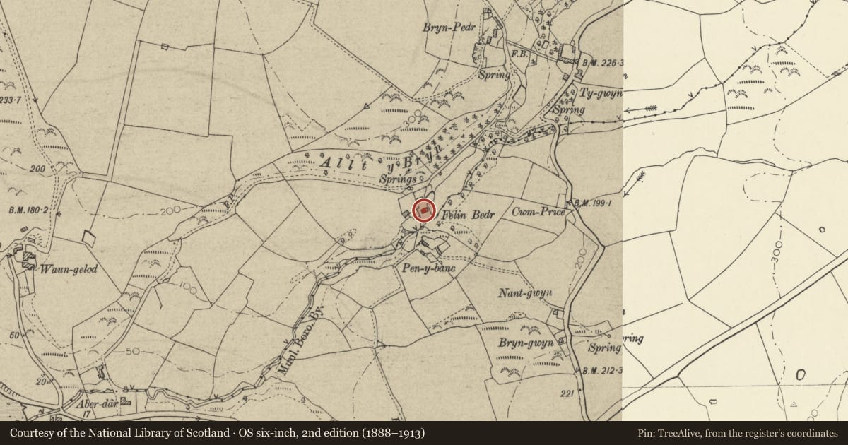 Ordnance Survey six-inch map, 2nd edition (1888–1913) covering the location of Felin Bedr Mill, Y Ferwig, Ceredigion, with a pin at the register's coordinates