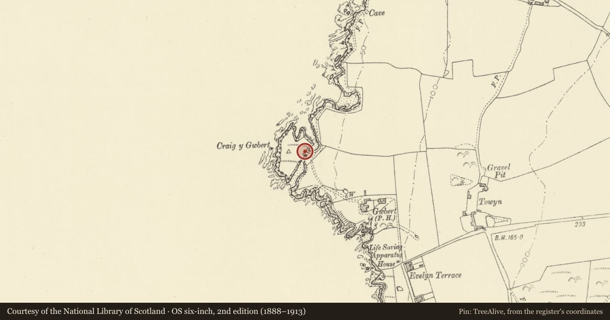 Ordnance Survey six-inch map, 2nd edition (1888–1913) covering the location of Limekiln at Gwbert, Y Ferwig, Ceredigion, with a pin at the register's coordinates