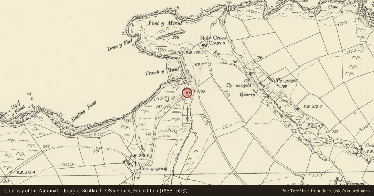 Ordnance Survey six-inch map, 2nd edition (1888–1913) covering the location of Lime Kiln at Mwnt, Y Ferwig, Ceredigion, with a pin at the register's coordinates