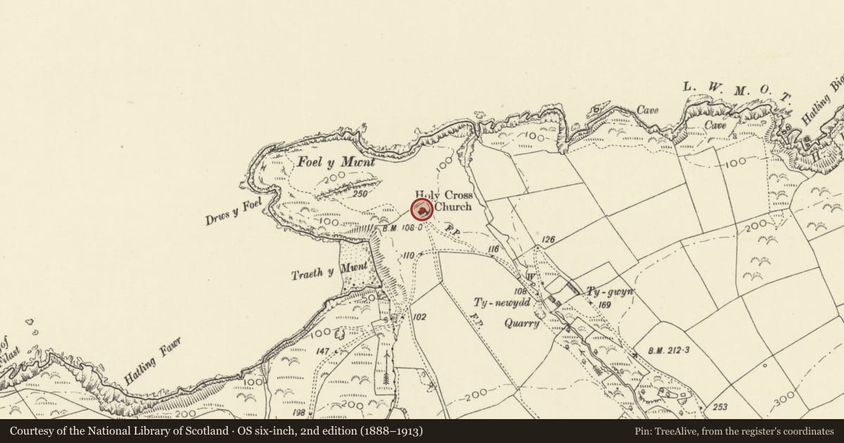 Ordnance Survey six-inch map, 2nd edition (1888–1913) covering the location of Church of the Holy Cross, Y Ferwig, Ceredigion, with a pin at the register's coordinates