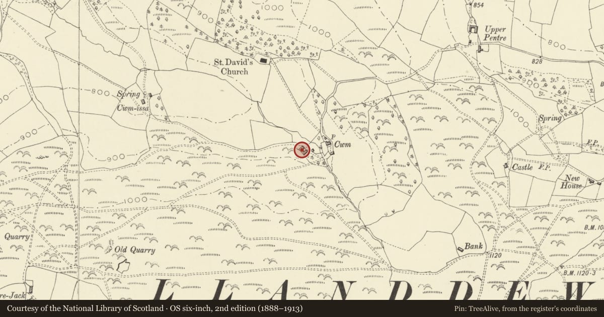 Ordnance Survey six-inch map, 2nd edition (1888–1913) covering the location of U-Plan Outbuilding Range to W of Cwm Farmhouse, Painscastle, Powys, with a pin at the register's coordinates