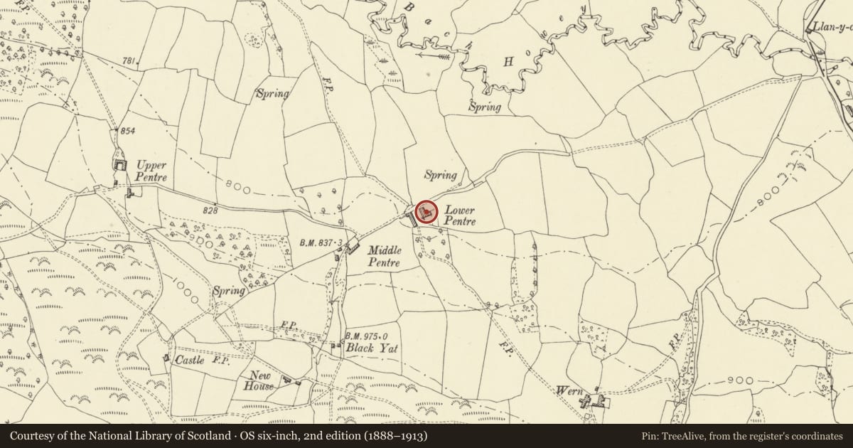 Ordnance Survey six-inch map, 2nd edition (1888–1913) covering the location of Outbuilding Range running E to lower Pentre Farmhouse, Painscastle, Powys, with a pin at the register's coordinates