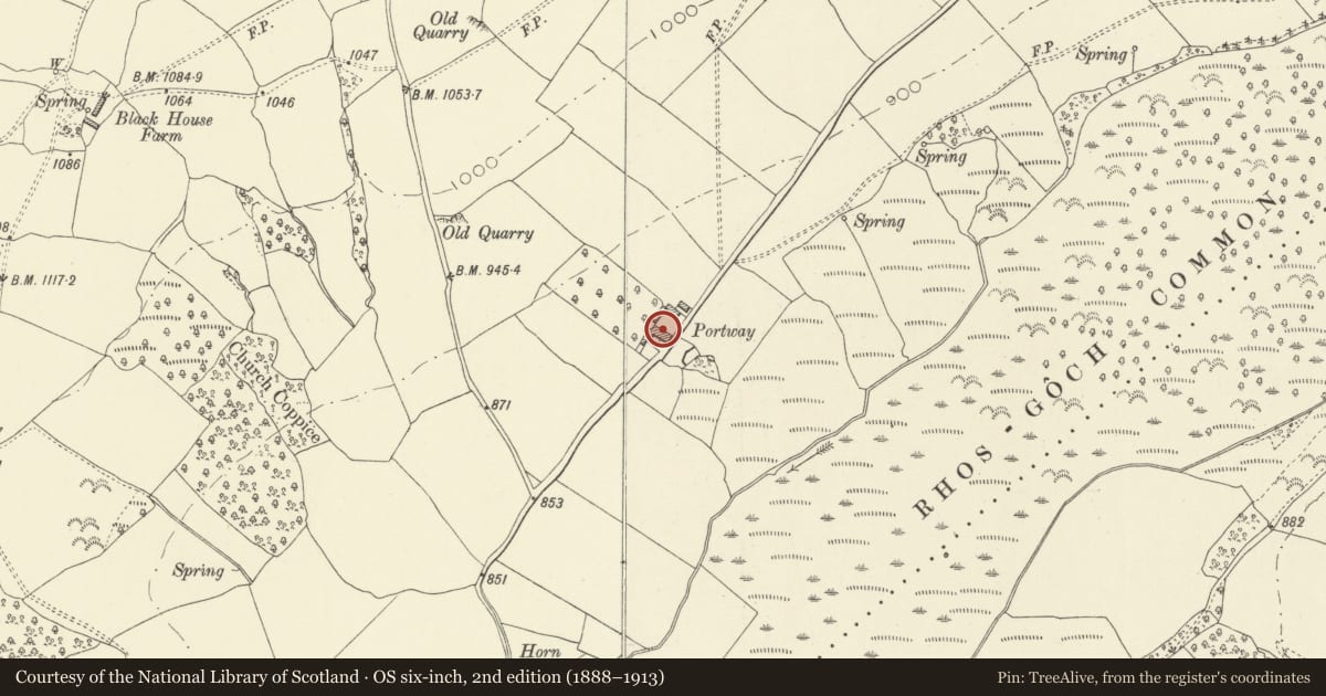 Ordnance Survey six-inch map, 2nd edition (1888–1913) covering the location of Portway, Painscastle, Powys, with a pin at the register's coordinates