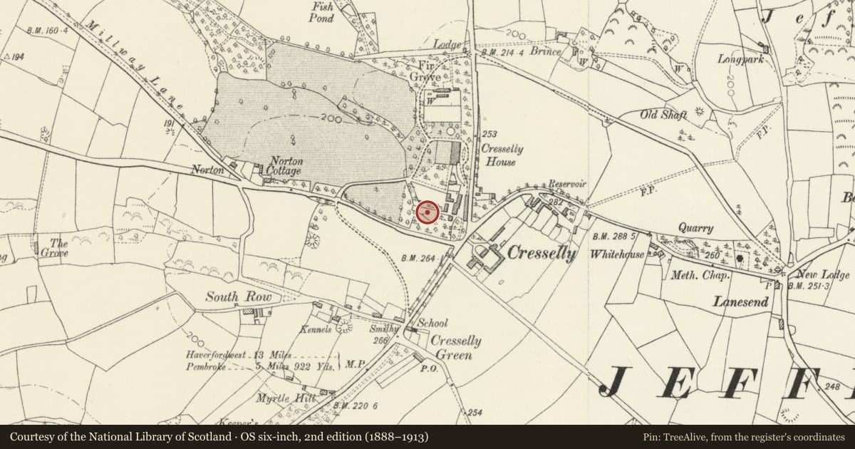 Ordnance Survey six-inch map, 2nd edition (1888–1913) covering the location of Indoor roller-skating rink to W of Stable Courtyard at Creselly House, Jeffreyston, Pembrokeshire, with a pin at the register's coordinates