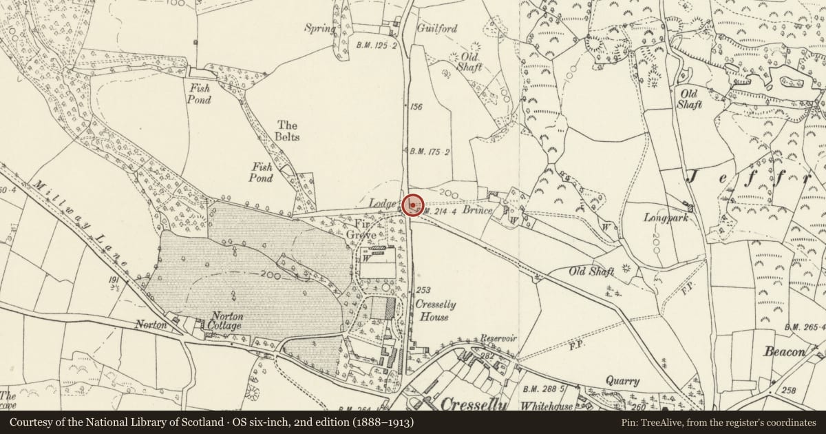 Ordnance Survey six-inch map, 2nd edition (1888–1913) covering the location of Gate and gate-piers opposite to main N driveway to Creselly House, Jeffreyston, Pembrokeshire, with a pin at the register's coordinates
