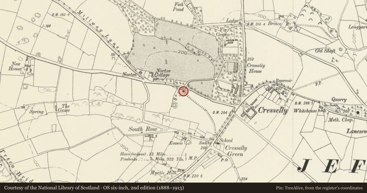 Ordnance Survey six-inch map, 2nd edition (1888–1913) covering the location of West Lodge, Jeffreyston, Pembrokeshire, with a pin at the register's coordinates