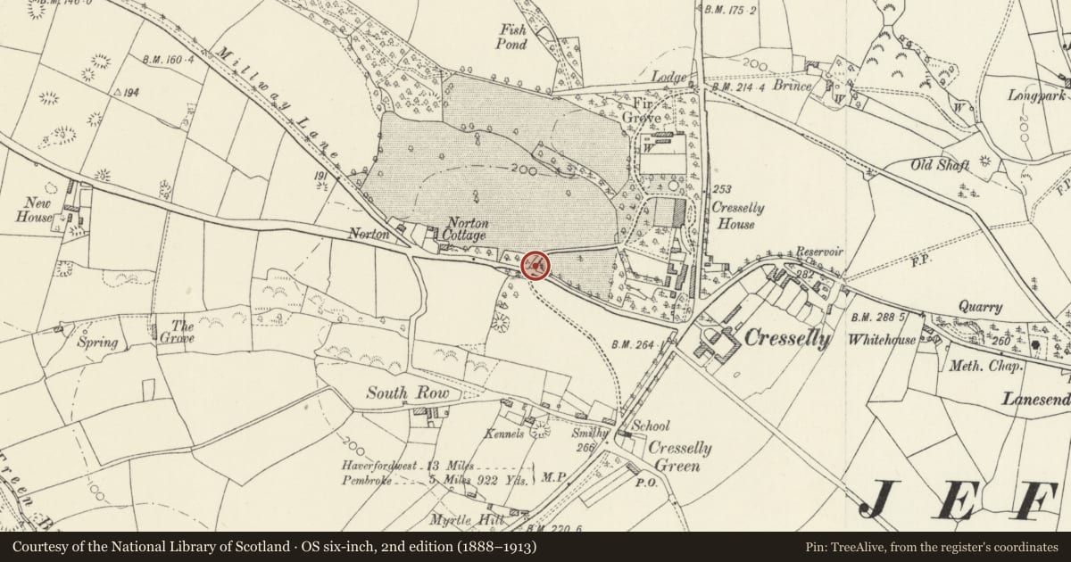 Ordnance Survey six-inch map, 2nd edition (1888–1913) covering the location of Gates and gate-piers to W driveway to Cresselly House, Jeffreyston, Pembrokeshire, with a pin at the register's coordinates