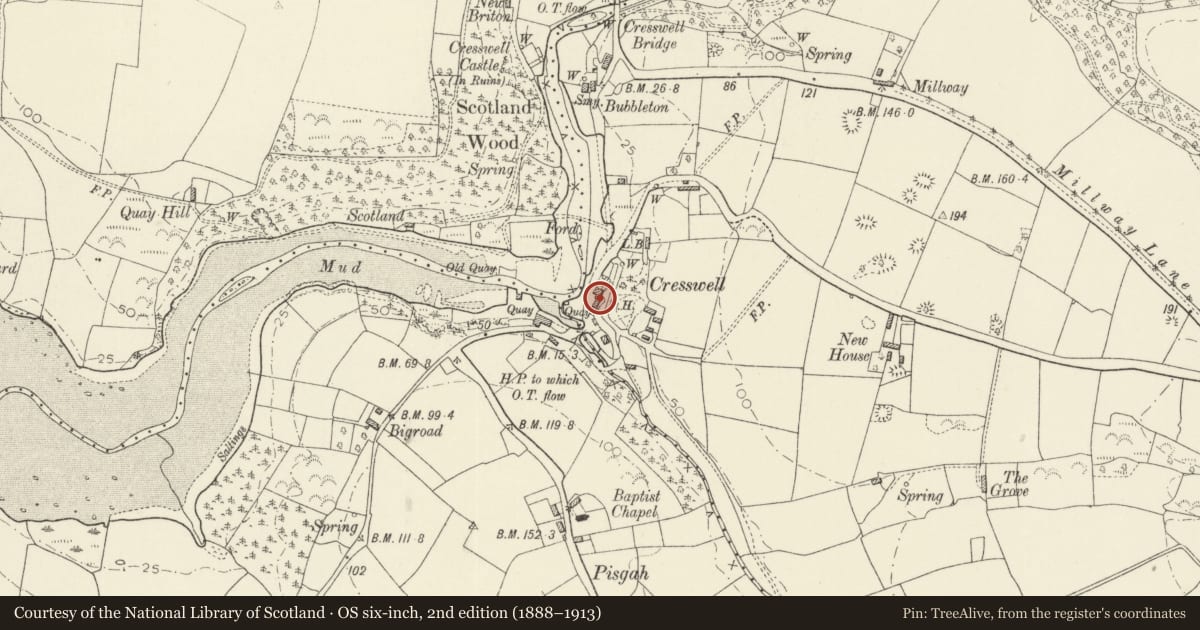 Ordnance Survey six-inch map, 2nd edition (1888–1913) covering the location of Cresselly Arms P.H., Jeffreyston, Pembrokeshire, with a pin at the register's coordinates