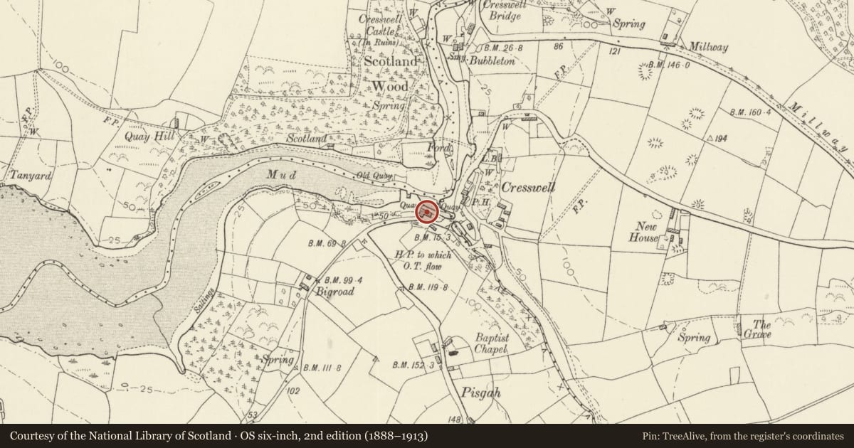 Ordnance Survey six-inch map, 2nd edition (1888–1913) covering the location of Creswell House, Carew, Pembrokeshire, with a pin at the register's coordinates
