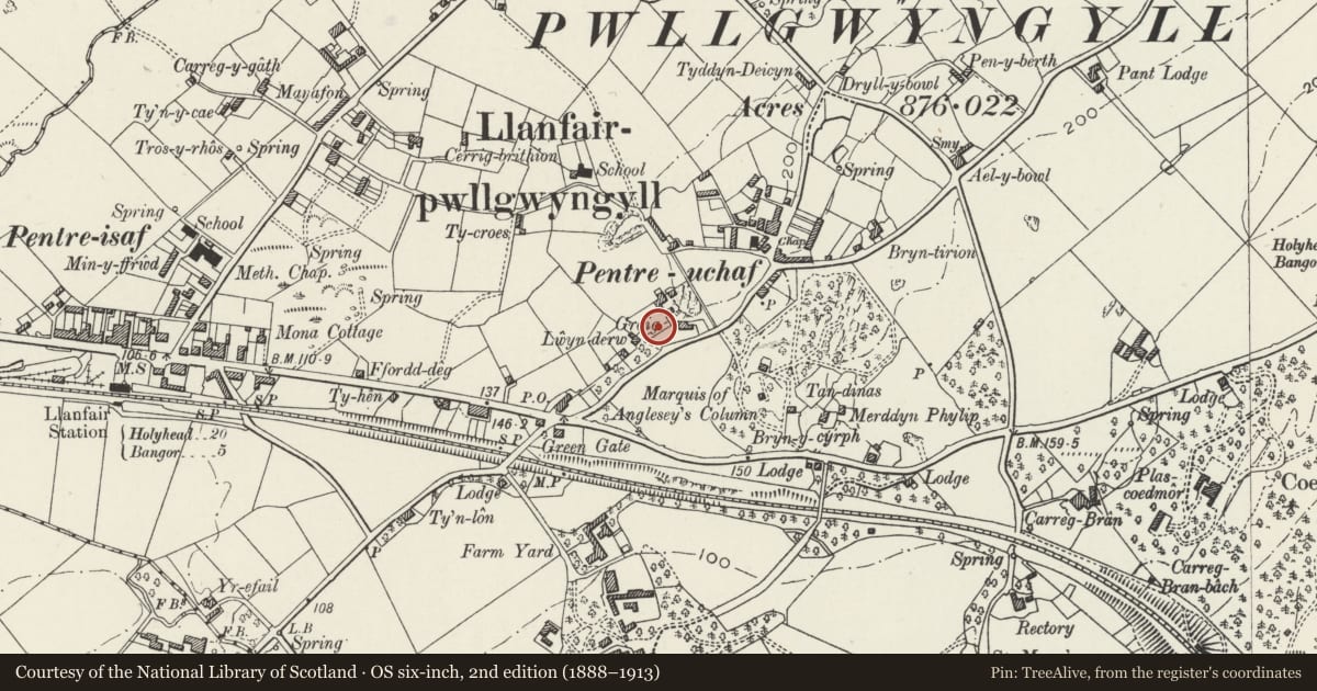Ordnance Survey six-inch map, 2nd edition (1888–1913) covering the location of Summerhouse at Y Graig, Llanfair Pwllgwyngyll, Isle of Anglesey, with a pin at the register's coordinates