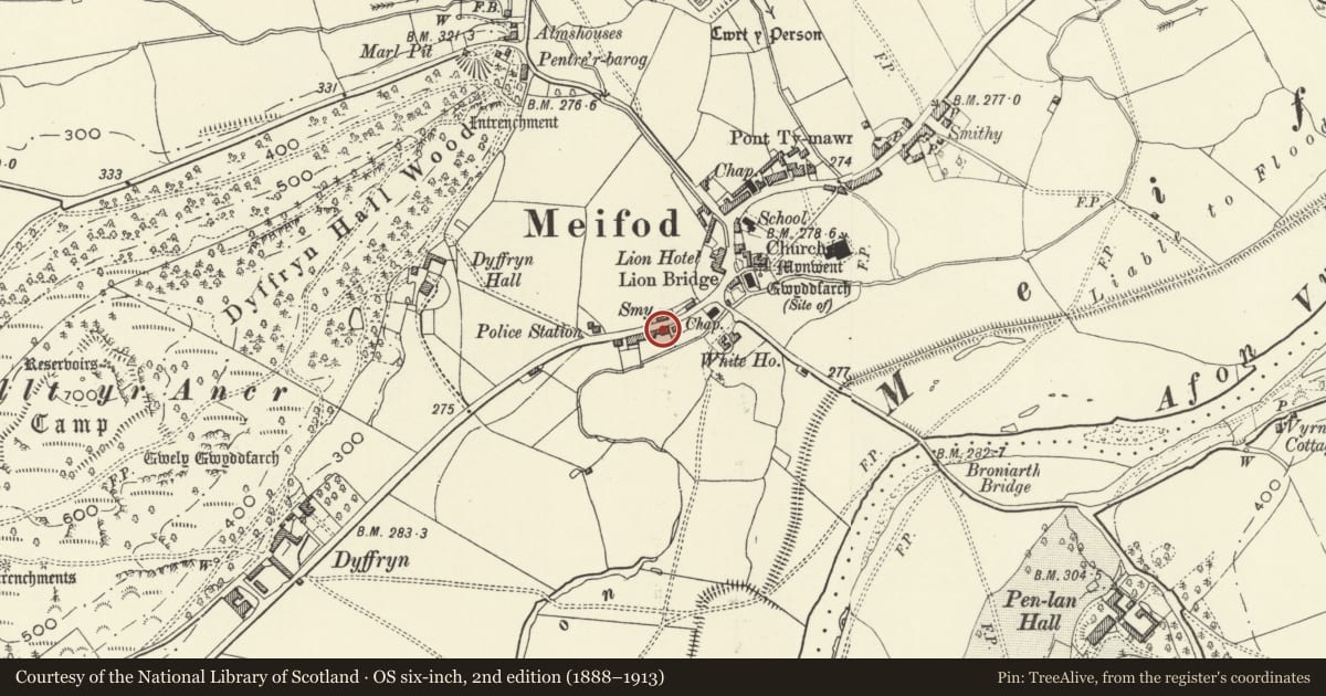 Ordnance Survey six-inch map, 2nd edition (1888–1913) covering the location of Maldwyn, Meifod, Powys, with a pin at the register's coordinates