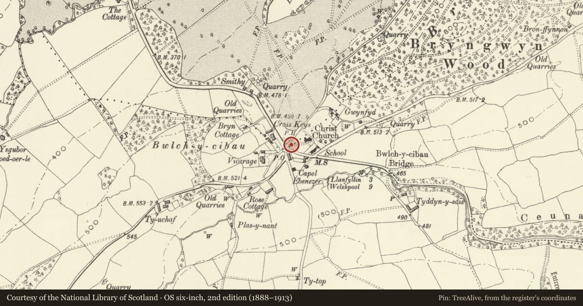 Ordnance Survey six-inch map, 2nd edition (1888–1913) covering the location of Lych-Gate to Christ Church Parish Church, Meifod, Powys, with a pin at the register's coordinates
