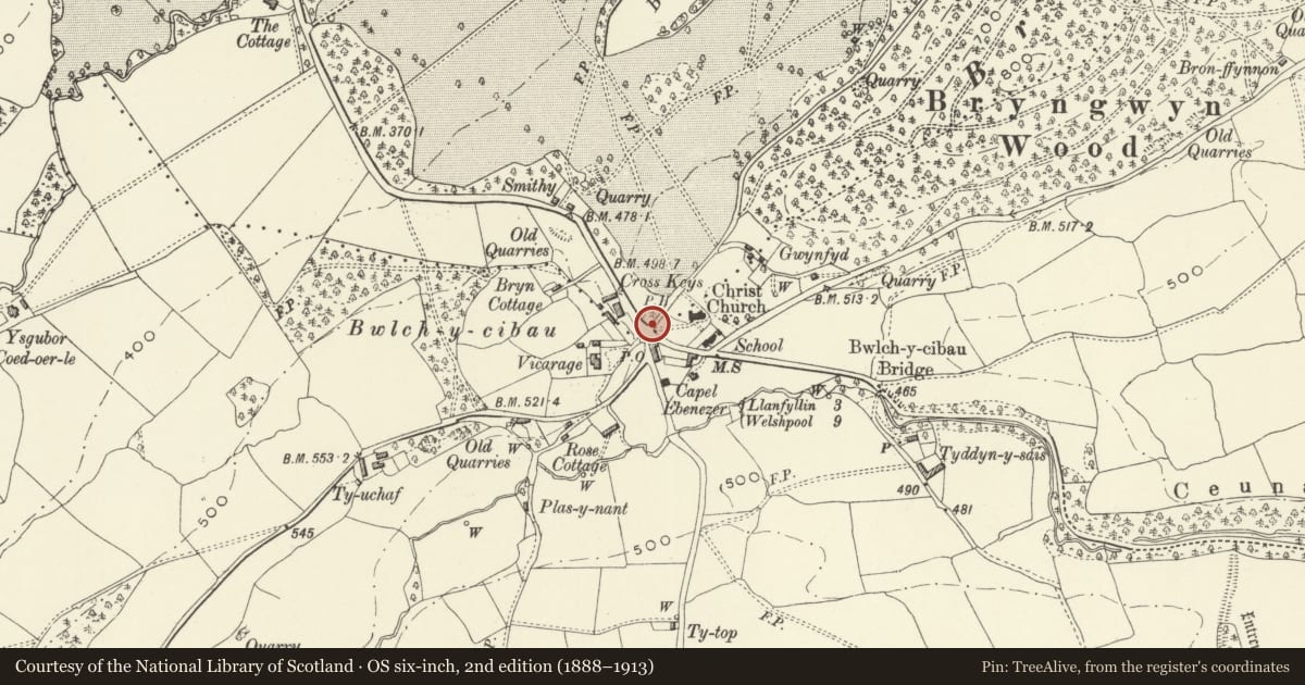 Ordnance Survey six-inch map, 2nd edition (1888–1913) covering the location of Drinking Fountain, Meifod, Powys, with a pin at the register's coordinates
