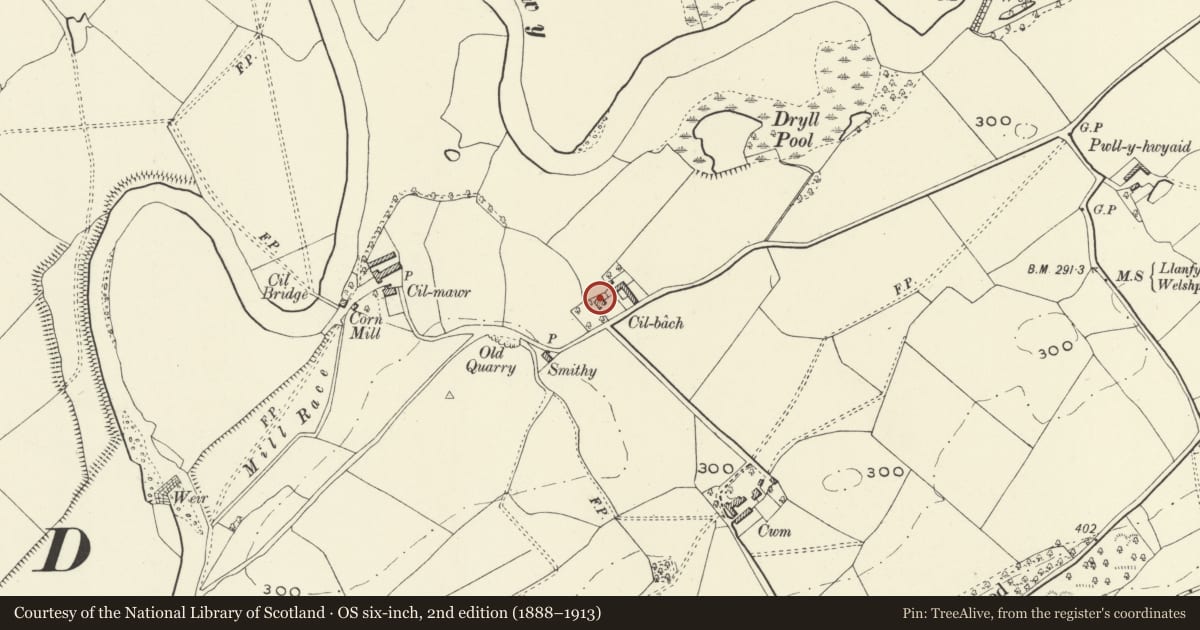Ordnance Survey six-inch map, 2nd edition (1888–1913) covering the location of Cil Bach, Meifod, Powys, with a pin at the register's coordinates