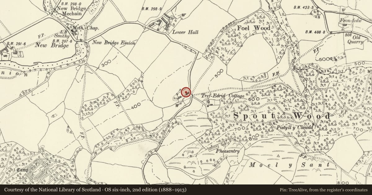 Ordnance Survey six-inch map, 2nd edition (1888–1913) covering the location of Ty Brith, Meifod, Powys, with a pin at the register's coordinates