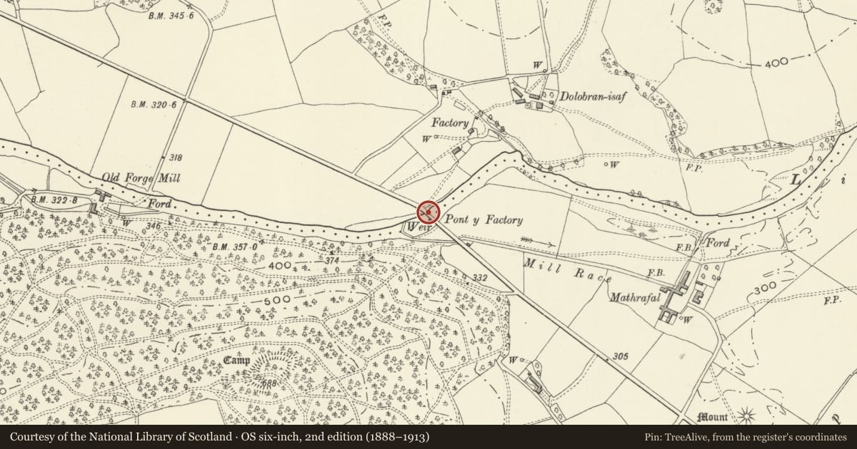 Ordnance Survey six-inch map, 2nd edition (1888–1913) covering the location of Pont-y-Ffatri (partley in Llangyniew Community), Powys, with a pin at the register's coordinates