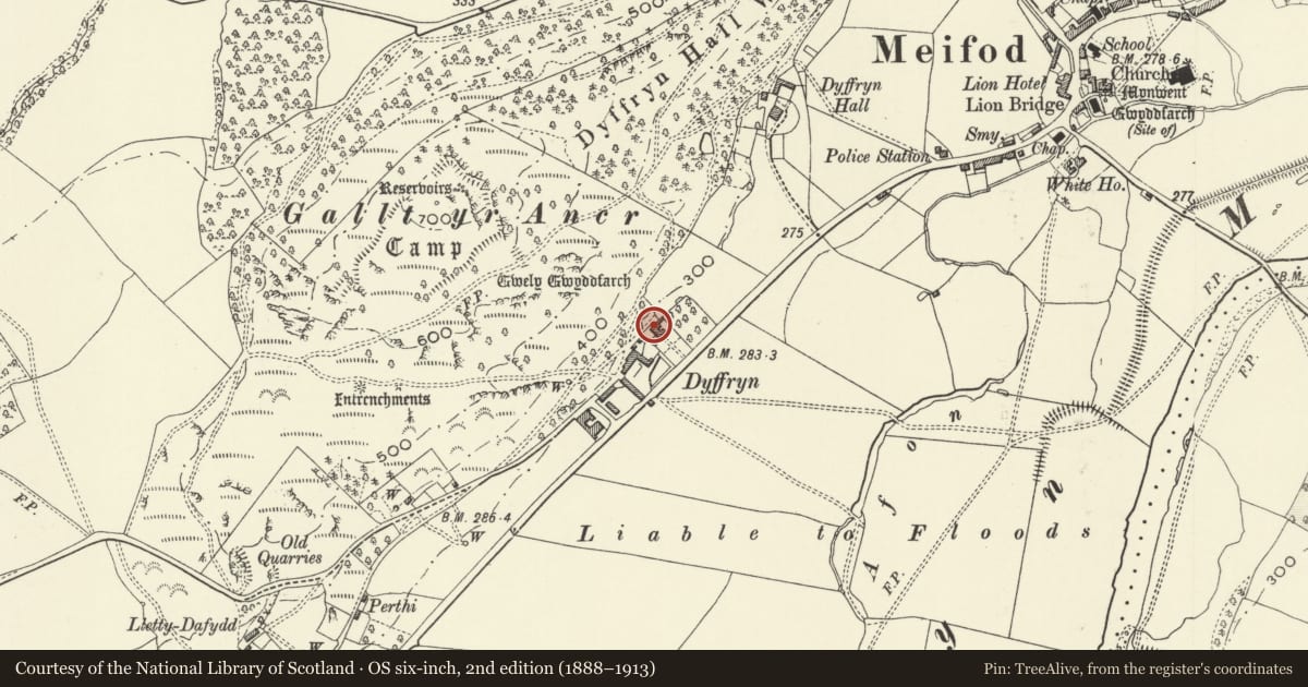 Ordnance Survey six-inch map, 2nd edition (1888–1913) covering the location of Dyffryn Farmhouse, (including railings, dwarf walls and gate piers at splayed entrance), Meifod, Powys, with a pin at the register's coordinates