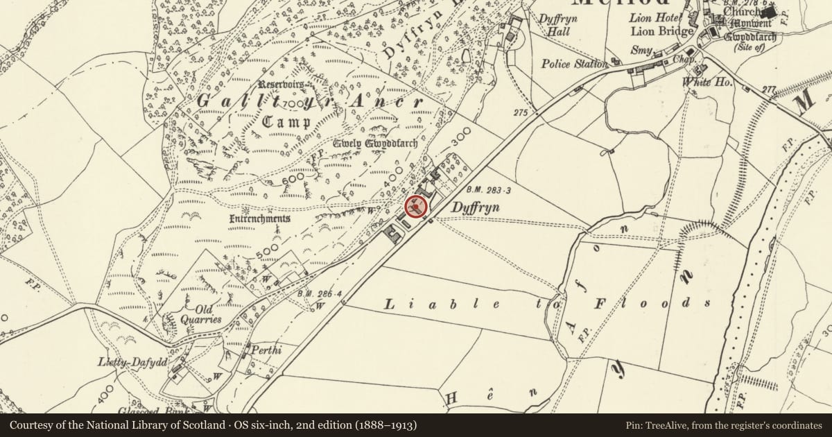 Ordnance Survey six-inch map, 2nd edition (1888–1913) covering the location of Cowhouse and Granary on W side of Farmyard at Dyffryn Farm, Meifod, Powys, with a pin at the register's coordinates