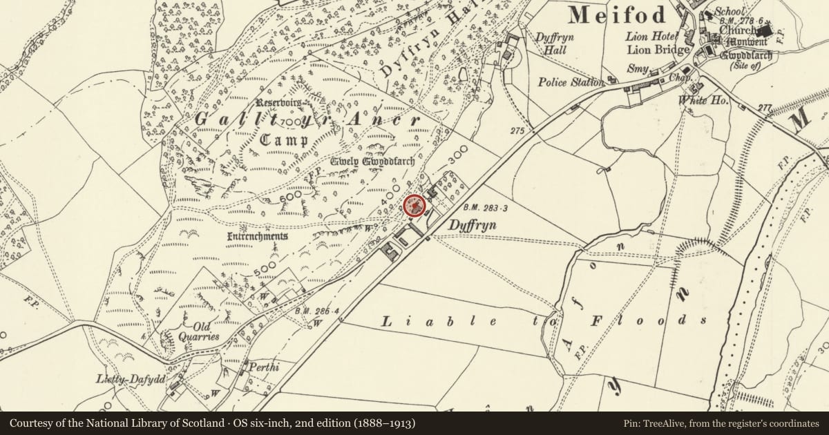 Ordnance Survey six-inch map, 2nd edition (1888–1913) covering the location of Cowhouse forming N side of Farmyard at Dyffryn Farm, Meifod, Powys, with a pin at the register's coordinates