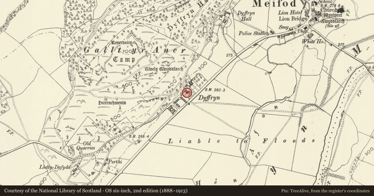 Ordnance Survey six-inch map, 2nd edition (1888–1913) covering the location of Stone Building and Calf House, at the E side of the Farmyard at Dyffryn Farm, Meifod, Powys, with a pin at the register's coordinates