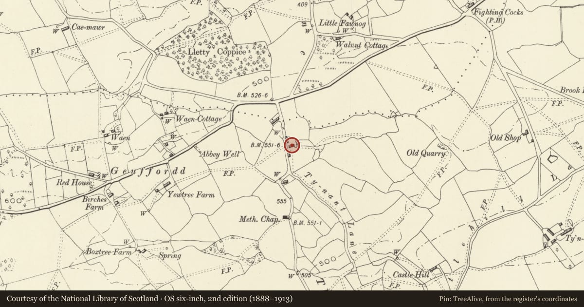 Ordnance Survey six-inch map, 2nd edition (1888–1913) covering the location of Street Farmhouse, Meifod, Powys, with a pin at the register's coordinates