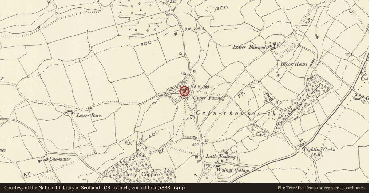 Ordnance Survey six-inch map, 2nd edition (1888–1913) covering the location of Upper Fawnog, Meifod, Powys, with a pin at the register's coordinates