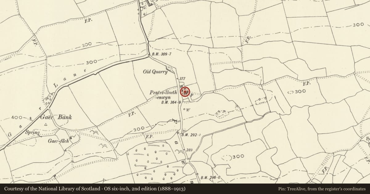 Ordnance Survey six-inch map, 2nd edition (1888–1913) covering the location of Pentregaer Farmhouse, Meifod, Powys, with a pin at the register's coordinates