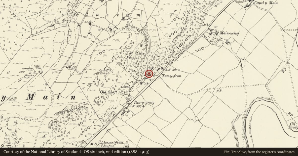 Ordnance Survey six-inch map, 2nd edition (1888–1913) covering the location of Tan-y-Fron, Meifod, Powys, with a pin at the register's coordinates