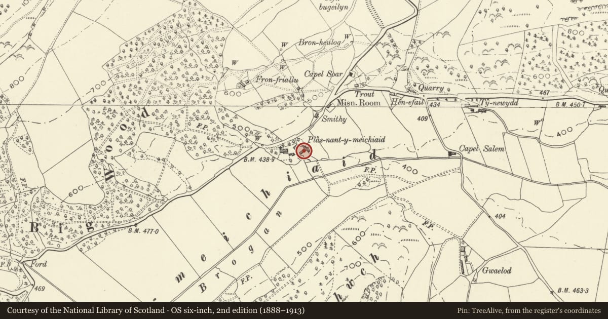 Ordnance Survey six-inch map, 2nd edition (1888–1913) covering the location of Barn at Plas Nant-y-Meichiaid, Meifod, Powys, with a pin at the register's coordinates