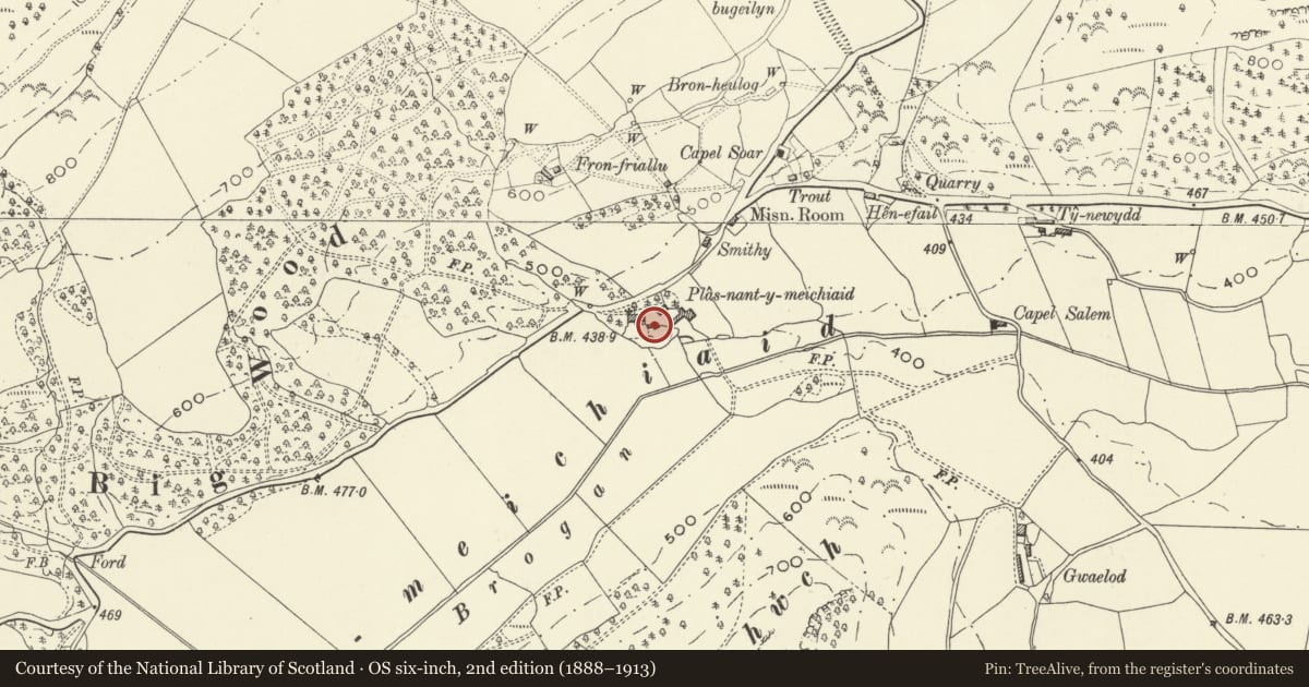 Ordnance Survey six-inch map, 2nd edition (1888–1913) covering the location of Granary and Gig House at Plas Nant-y-Meichiaid, Meifod, Powys, with a pin at the register's coordinates