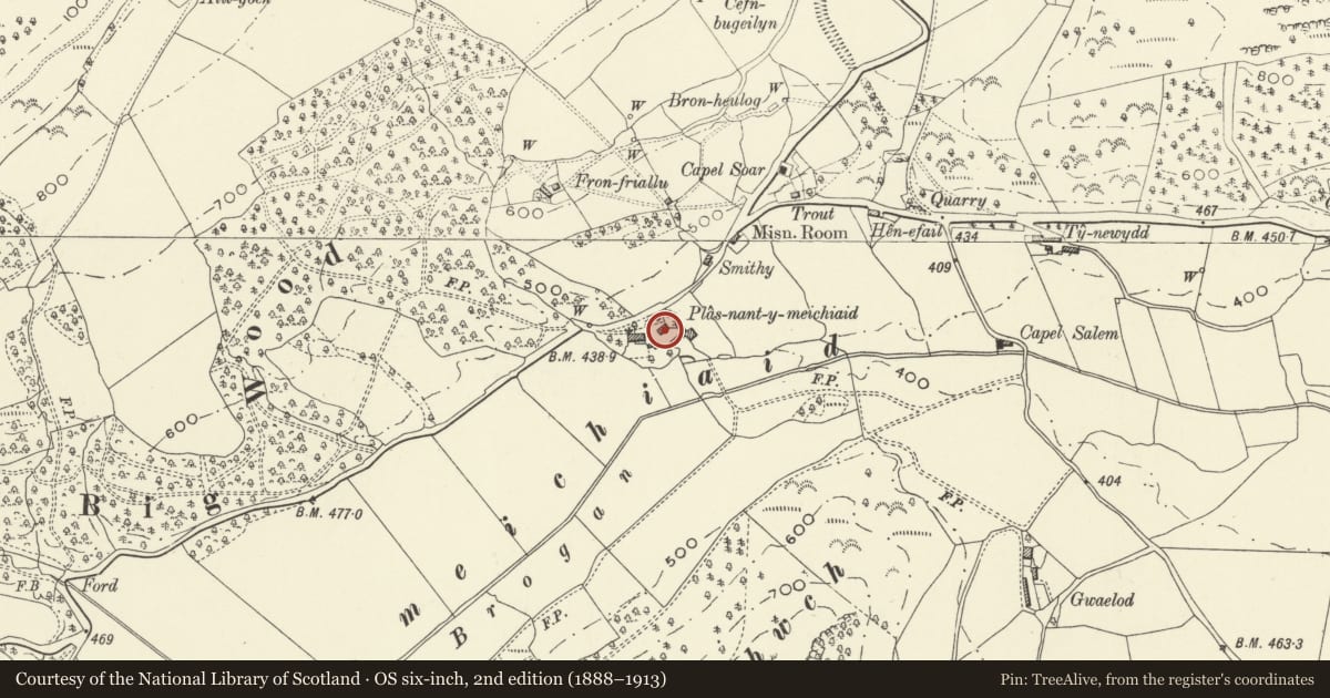 Ordnance Survey six-inch map, 2nd edition (1888–1913) covering the location of Cowhouse at Plas Nant-y-Meichiaid, Meifod, Powys, with a pin at the register's coordinates