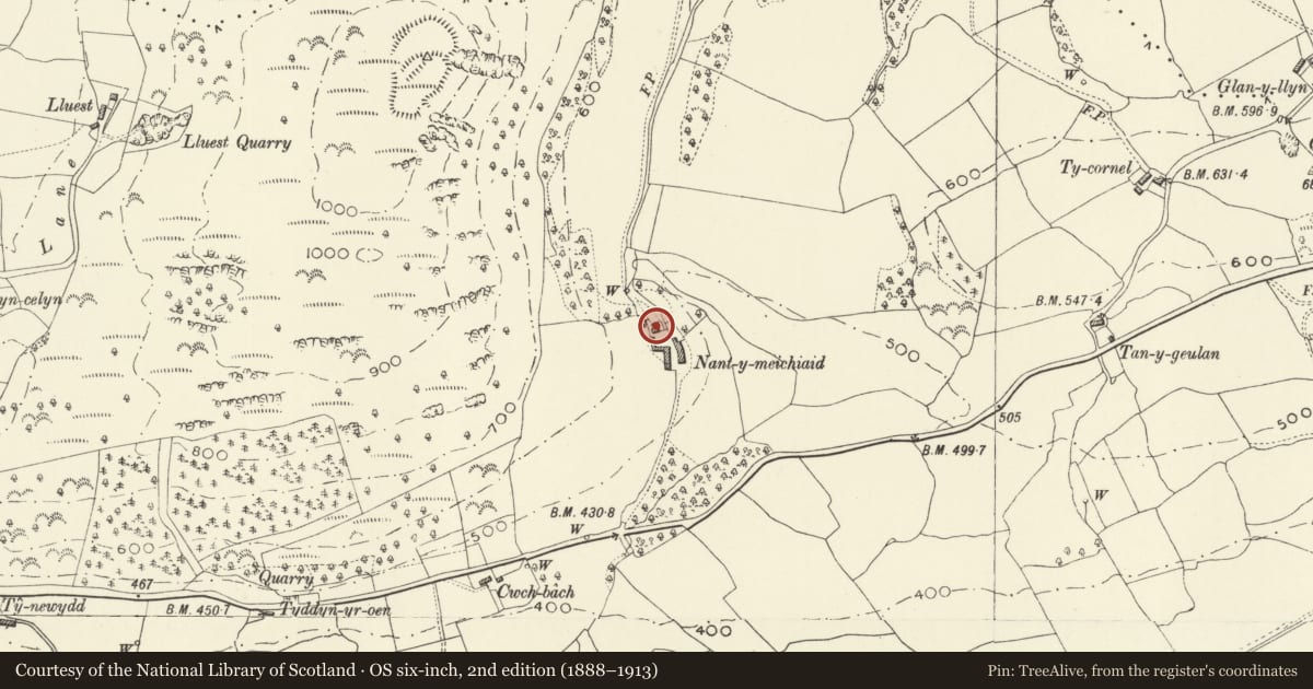 Ordnance Survey six-inch map, 2nd edition (1888–1913) covering the location of Nant-y-Meichiaid Farmhouse, Meifod, Powys, with a pin at the register's coordinates