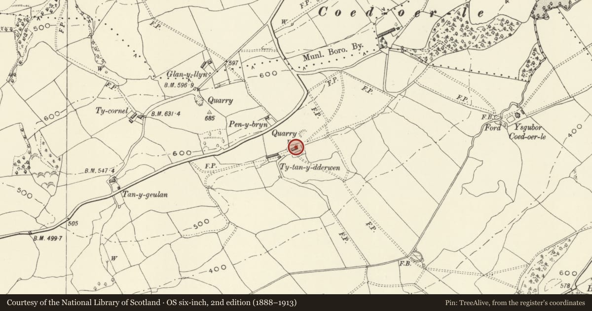 Ordnance Survey six-inch map, 2nd edition (1888–1913) covering the location of Ty Tan-y-Derwen, Meifod, Powys, with a pin at the register's coordinates