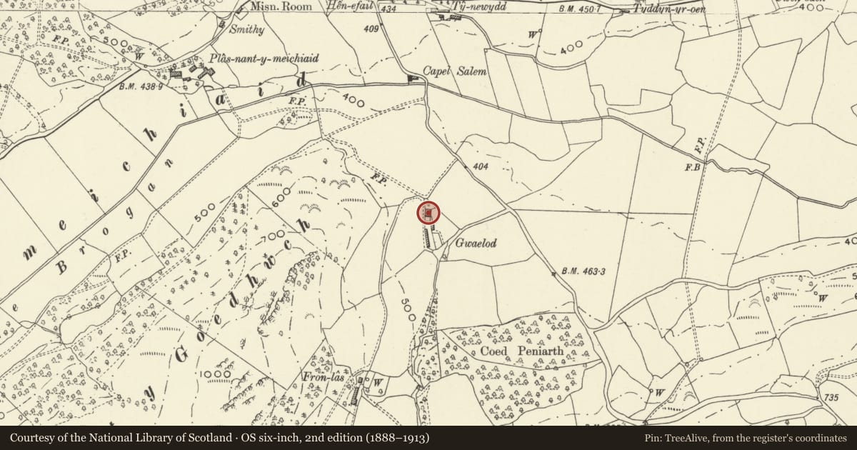 Ordnance Survey six-inch map, 2nd edition (1888–1913) covering the location of Gwaelod Farmhouse, Meifod, Powys, with a pin at the register's coordinates