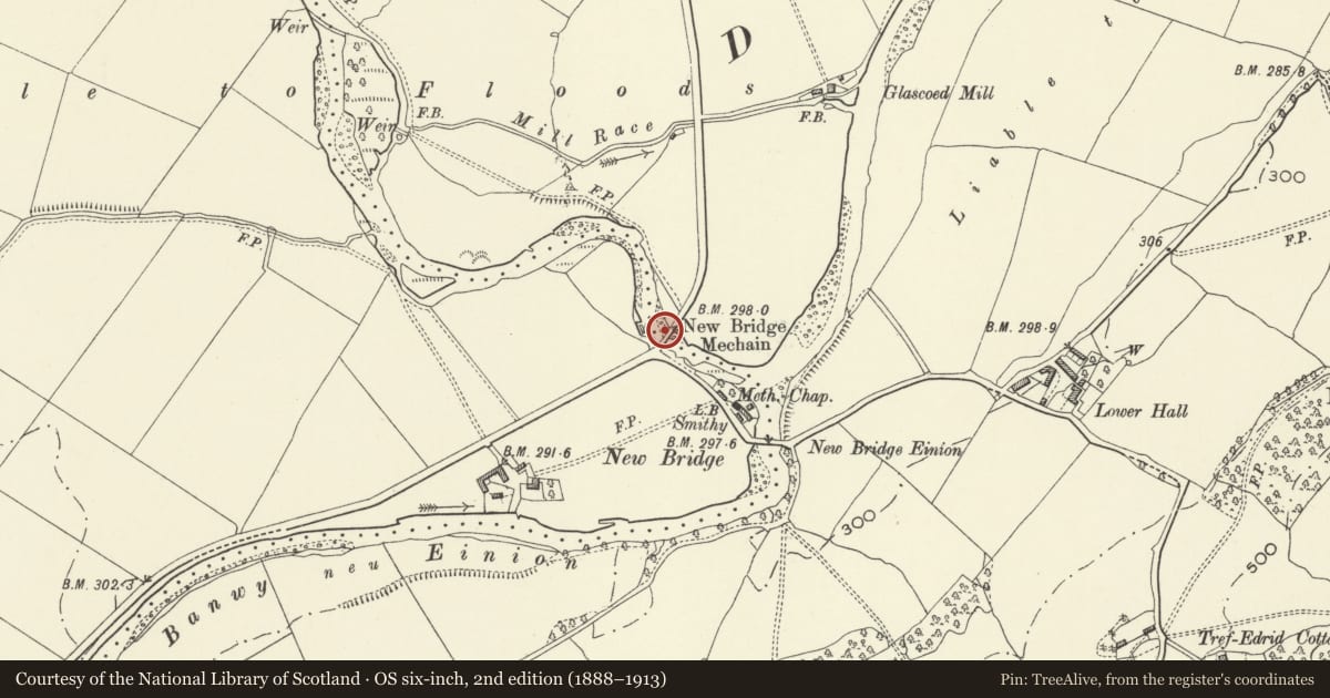 Ordnance Survey six-inch map, 2nd edition (1888–1913) covering the location of New Bridge Mechain, Meifod, Powys, with a pin at the register's coordinates