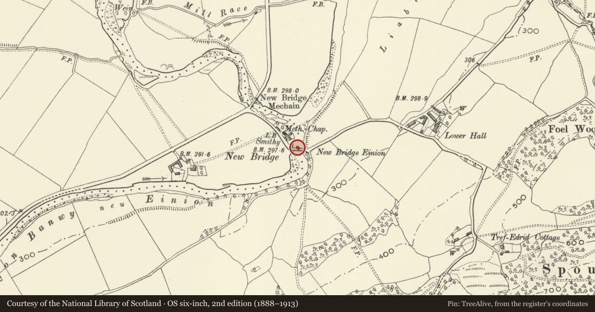 Ordnance Survey six-inch map, 2nd edition (1888–1913) covering the location of New Bridge Einion, Meifod, Powys, with a pin at the register's coordinates