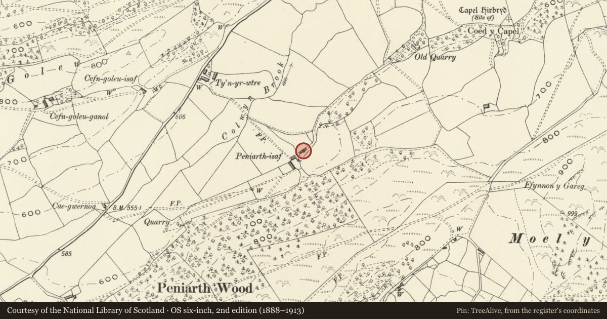 Ordnance Survey six-inch map, 2nd edition (1888–1913) covering the location of Lower Peniarth, Meifod, Powys, with a pin at the register's coordinates