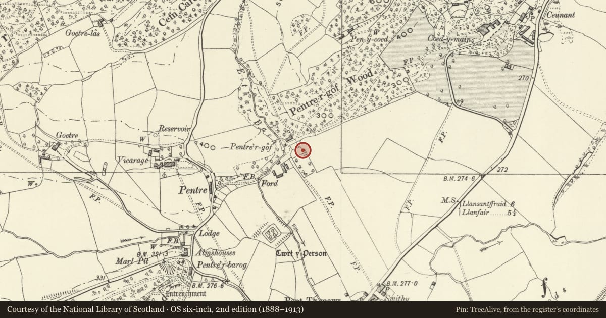 Ordnance Survey six-inch map, 2nd edition (1888–1913) covering the location of Malthouse and Granary at Pentre'r Gof, including Lean-to on W, Meifod, Powys, with a pin at the register's coordinates