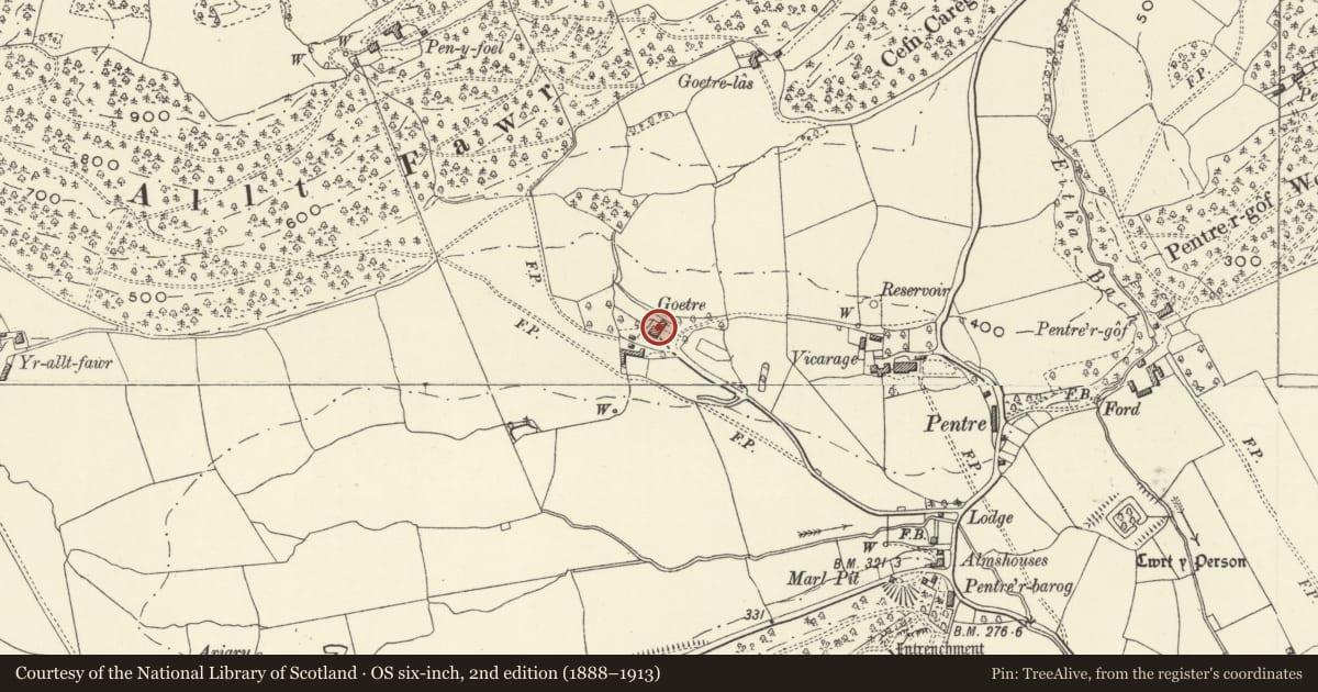 Ordnance Survey six-inch map, 2nd edition (1888–1913) covering the location of Goetre, Meifod, Powys, with a pin at the register's coordinates