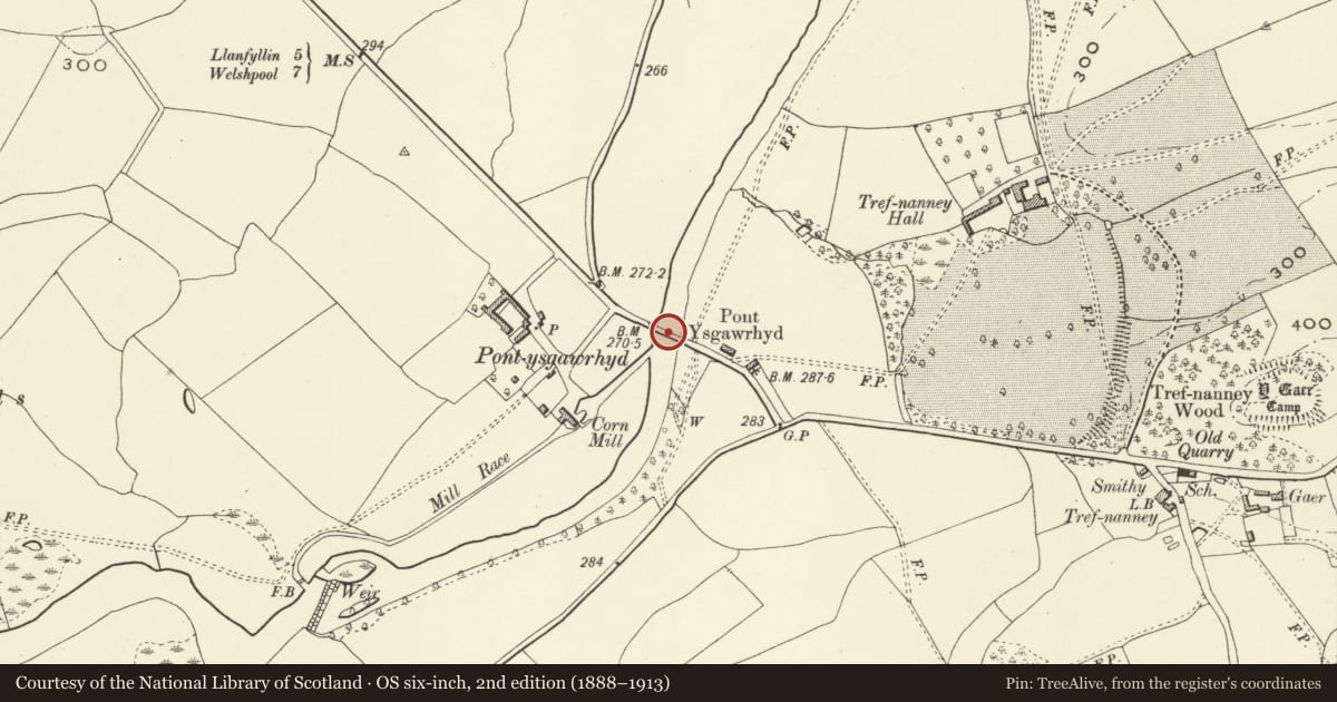 Ordnance Survey six-inch map, 2nd edition (1888–1913) covering the location of Pont Ysgawrhyd, Meifod, Powys, with a pin at the register's coordinates