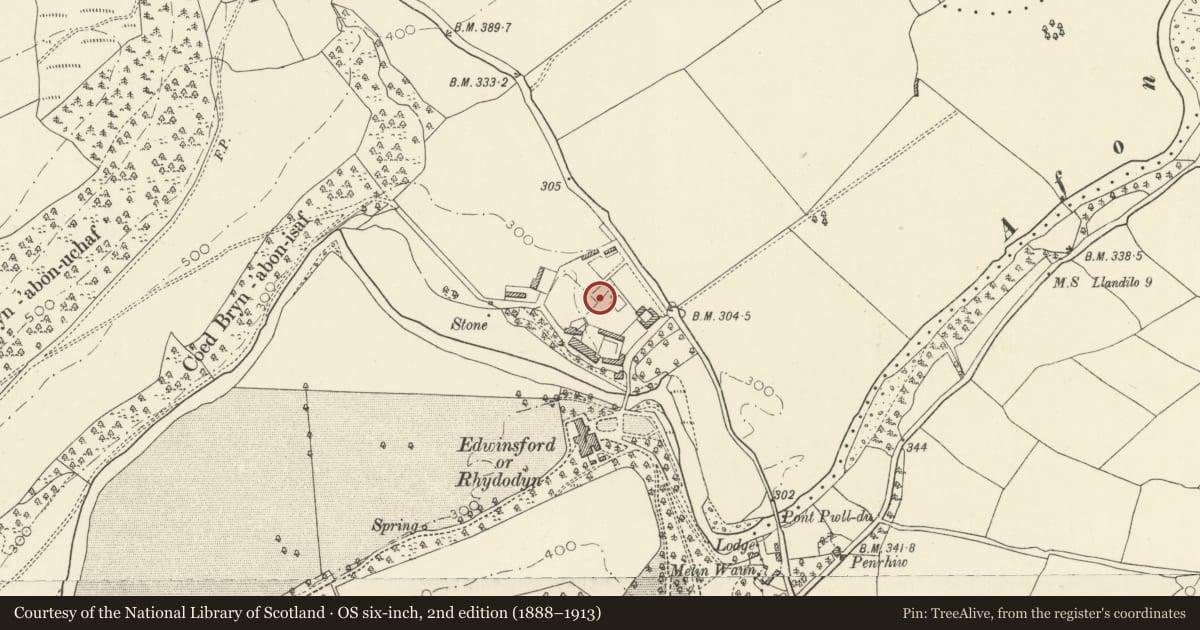 Ordnance Survey six-inch map, 2nd edition (1888–1913) covering the location of Walled Garden at Edwinsford, Llansawel, Carmarthenshire, with a pin at the register's coordinates
