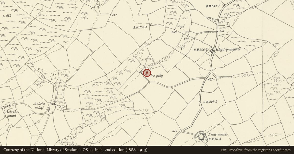Ordnance Survey six-inch map, 2nd edition (1888–1913) covering the location of Tre-Glog, Llansawel, Carmarthenshire, with a pin at the register's coordinates