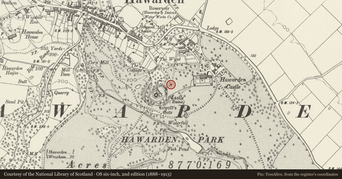 Ordnance Survey six-inch map, 2nd edition (1888–1913) covering the location of Foot Bridge to old Castle, Hawarden Castle Estate, Flintshire, with a pin at the register's coordinates