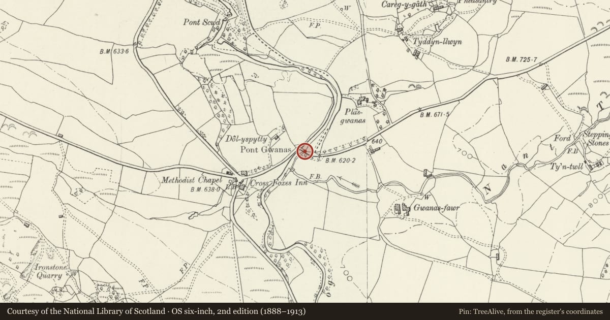 Ordnance Survey six-inch map, 2nd edition (1888–1913) covering the location of Pont Gwanas (partly in Dolgellau Community), Brithdir and Llanfachreth, Gwynedd, with a pin at the register's coordinates
