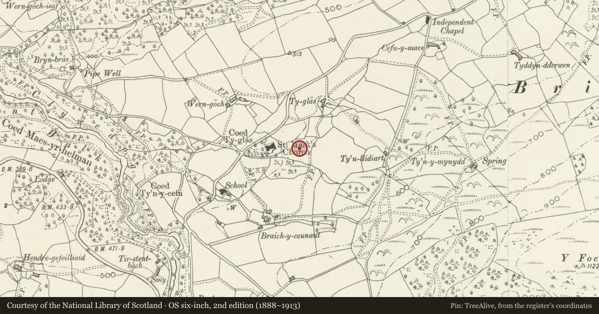 Ordnance Survey six-inch map, 2nd edition (1888–1913) covering the location of Goedlan, Brithdir and Llanfachreth, Gwynedd, with a pin at the register's coordinates