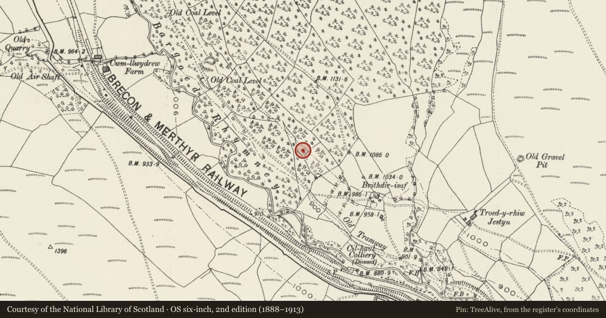 Ordnance Survey six-inch map, 2nd edition (1888–1913) covering the location of Ogilivie Colliery Explosives Store, Darran Valley, Caerphilly, with a pin at the register's coordinates