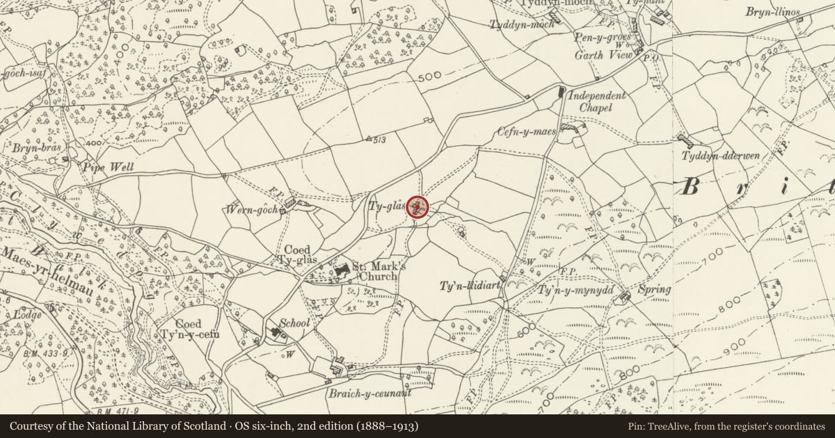 Ordnance Survey six-inch map, 2nd edition (1888–1913) covering the location of Ty Glas Farmhouse including attached Byre, Brithdir and Llanfachreth, Gwynedd, with a pin at the register's coordinates