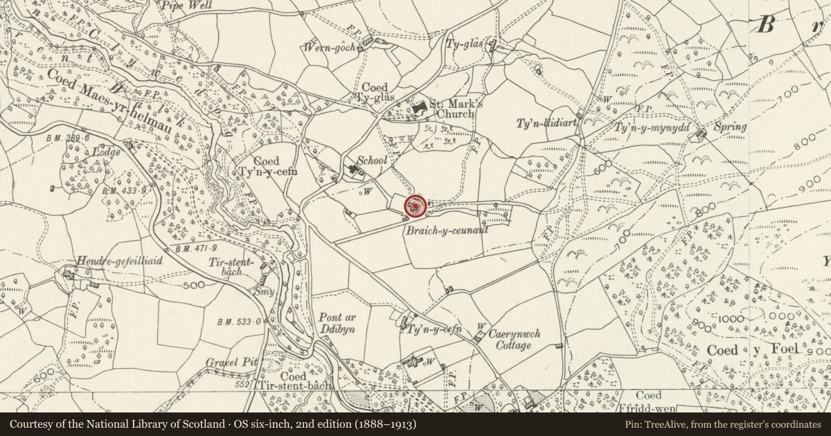 Ordnance Survey six-inch map, 2nd edition (1888–1913) covering the location of Braich-y-Ceunant, Brithdir and Llanfachreth, Gwynedd, with a pin at the register's coordinates