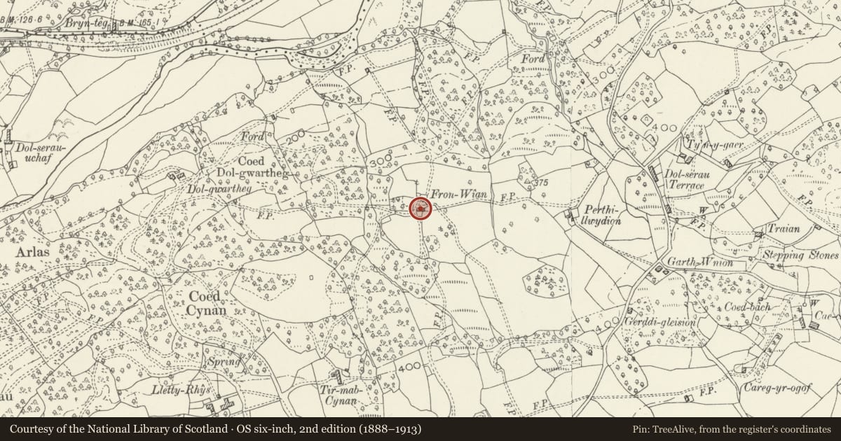 Ordnance Survey six-inch map, 2nd edition (1888–1913) covering the location of Fronwian, Brithdir and Llanfachreth, Gwynedd, with a pin at the register's coordinates