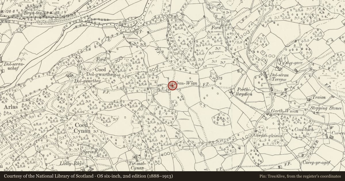 Ordnance Survey six-inch map, 2nd edition (1888–1913) covering the location of Byre (former Primary House) at Bronwian, Brithdir and Llanfachreth, Gwynedd, with a pin at the register's coordinates